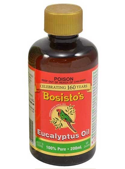 Eucalyptus Oil